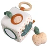 Image de Cube d'activités Botanica