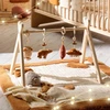 Image de Arche d'éveil Orsino