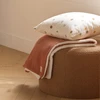 Image de Couverture uni Terracotta
