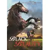Image de Black Beauty DVD