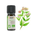Image de Huile Essentielle - Giroflier clou BIO Eugenia caryophyllus - 10ml