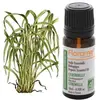 Image de Huile essentielle Bio Citronnelle