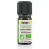 Image de Huile Essentielle - Eucalyptus Citriodora BIO - 10ml
