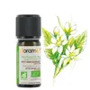 Image de Huile Essentielle - Petit Grain Bigarade BIO Citrus aurantium amara - 10ml