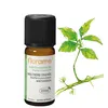 Image de Huile Essentielle - Gaulthérie Couchée BIO Gaultheria procumbens - 10ml