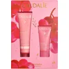 Image de Coffret crème sorbet vinohydra & gelée nettoyante offerte - Caudalie