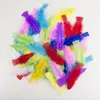 Image de P'TIT CLOWN 14515 Sachet de 50 Plumes 8-12 cm - Multicolore