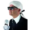 Image de P'TIT Clown re18036 - Perruque KARL avec catogan, longue, Blanc