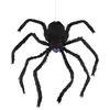 Image de automate araignée animée son lumière 80cm - ptitclown 18273