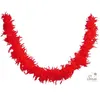 Image de Boa à plumes - Rouge - 160 cm - Déguisement - Fête - Soirées - Cabaret - Charleston