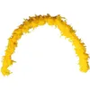 Image de Grand Boa jaune en plumes pour votre fête de 180cm (x1) REF/21604