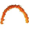 Image de Grand Boa orange en plumes pour votre fête de 180cm (x1) REF/21605