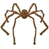 Image de Décoration Halloween avec araignée géante marron de 128 cm (x1) REF/22701 - ptit clown