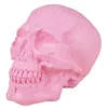 Image de crâne décoratif plastique 18cm rose - générique 23533
