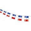 Image de guirlande 10 pavillons plastique drapeau france 5m - ptitclown 28100
