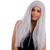 Image de Perruque Cindy long cheveux gris