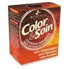 Image de LES 3 CHENES COLORATION 6G - Blond Foncé Doré
