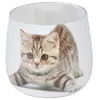 Image de Bougie Anti-Odeurs "Chat" 8cm Blanc