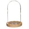 Image de Cloche en verre lumineuse 21,5 cm x Ø 14 cm