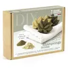 Image de Coffret DIY Shampoing solide
