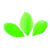 Image de Plumes - Vert clair - 3g