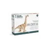 Image de Maquette 3D mécanique Diplodocus 21 cm