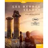 Image de Les Herbes sèches Blu-ray