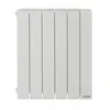 Image de Radiateur chaleur douce Baléares 2 horizontal blanc 0300W