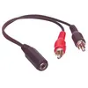 Image de Adaptateur Jack 3.5 mm vers 2 x RCAM - 0,20 m