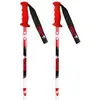 Image de Vola Bâtons Sl Carbon