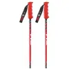 Image de Vola Bâtons Gs Carbon Nordic Sr Sl Alu-carbone Coupe Du Monde