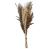 Image de Atmosphera Créateur d'intérieur - Bouquet de Fleurs Séchées "Pampa" 58cm Naturel