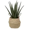 Image de Atmosphera Créateur d'intérieur - Plante Artificielle & Pot "Aloe Vera" 37cm Vert
