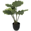 Image de Atmosphera Créateur d'intérieur - Plante Artificielle Déco "Palmier" 65cm Vert & Noir