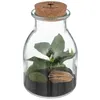 Image de Atmosphera Créateur d'intérieur - Terrarium en Verre "Bota" 19cm Transparent