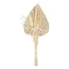 Image de Atmosphera Créateur d'intérieur - Mini Bouquet de Fleurs Naturelles Seav 30cm Beige