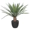 Image de Atmosphera, Plantes artificielles, 193742 (52 cm)