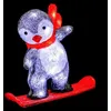 Image de Pingouin lumineux 40 LED extérieur sur son snowboard