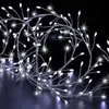 Image de Fééric Lights and Christmas - Guirlande Lumineuse Extérieur "Boa" 2,5m Blanc Froid