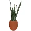 Image de Atmosphera, Plantes artificielles, 196696