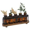 Image de Atmosphera Créateur d'intérieur - Lot de 5 Soliflores en Verre "5 Fleurs" 27cm Transparent