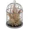 Image de Atmosphera Créateur d'intérieur - Fleurs Séchées Déco "Cage" 20cm Gris