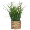Image de Atmosphera Créateur d'intérieur - Plante Artificielle en Pot Herbe 70cm Beige