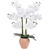 Image de Atmosphera Créateur d'intérieur - Orchidée Artificielle en Pot "Dena" 65cm Blanc