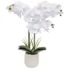 Image de Atmosphera Créateur d'intérieur - Orchidée Artificielle en Pot "Riva" 60cm Blanc