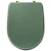 Image de FIVE Simply Smart - Abattant WC Design "Duo" 49cm Vert