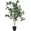 Image de Atmosphera, Plantes artificielles, Sztuczna ro lina eukaliptus, 127 cm