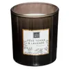 Image de Comptoir de la Bougie - Bougie Parfumée "Mael" 190g Fève de Tonka & Lavande