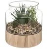 Image de Atmosphera Créateur d'intérieur - Terrarium en Verre & Bois "Brito" 17cm Transparent