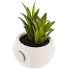 Image de Atmosphera, Plantes artificielles, Plante décorative (6 cm)